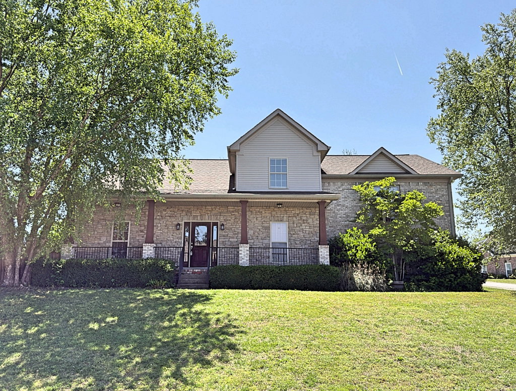 Media Image 1