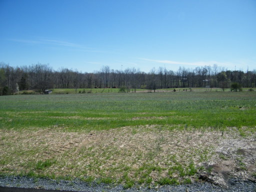 Media Image 2