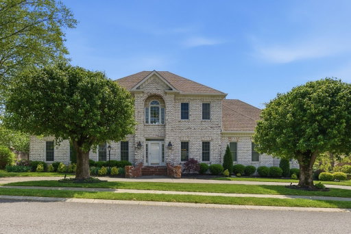 Media Image 2