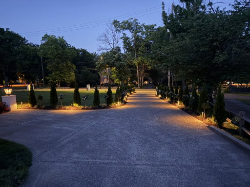Media Image 3