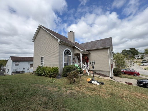 Media Image 2