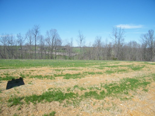 Media Image 2