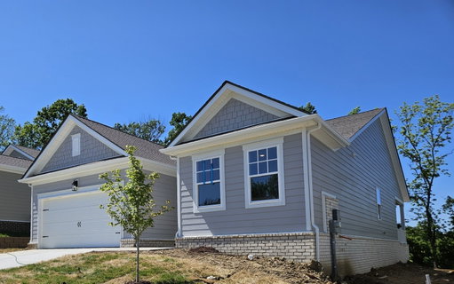 Media Image 3