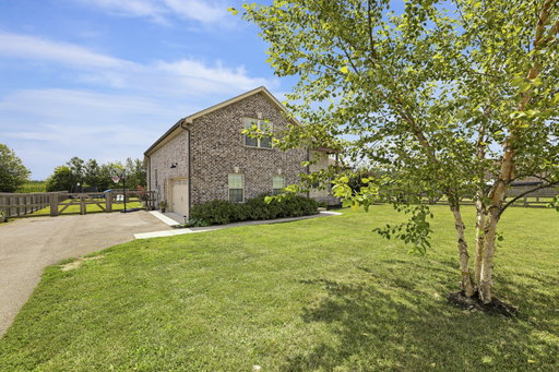 Media Image 3