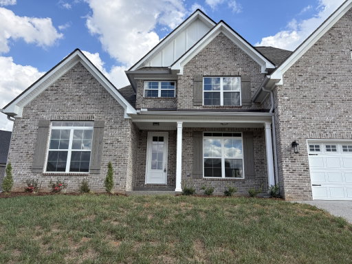 Media Image 2