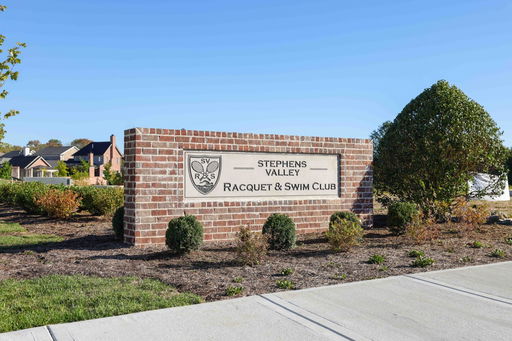 Media Image 3