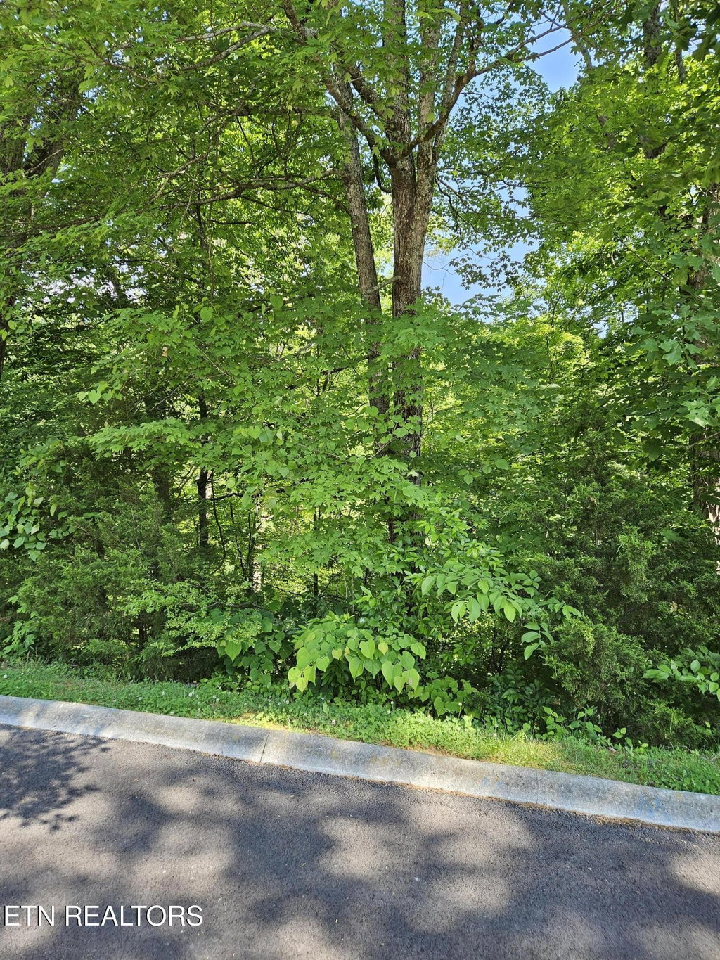Image Unavailable