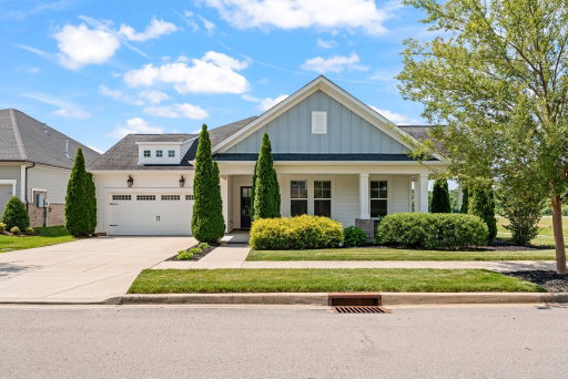 Media Image 2