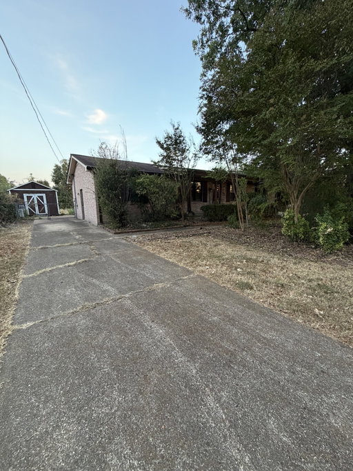 Media Image 2