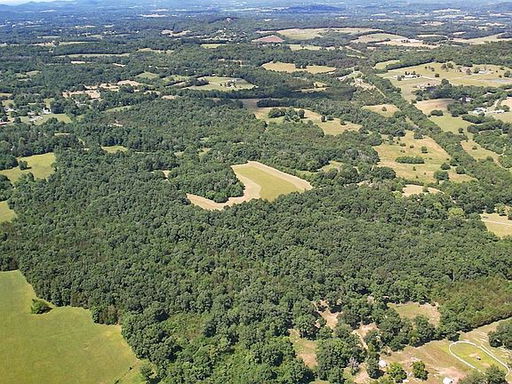 Media Image 2