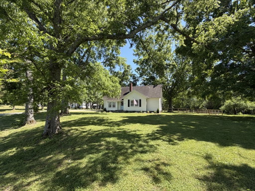 Media Image 2