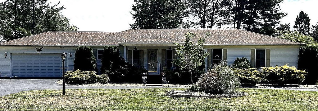 Media Image 1
