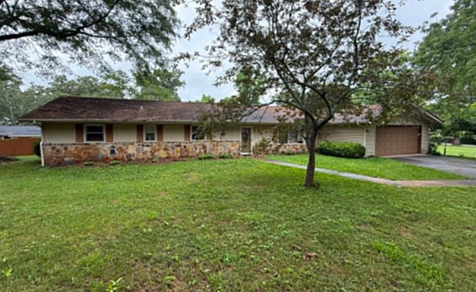 Media Image 1