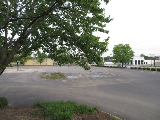 Media Image 3