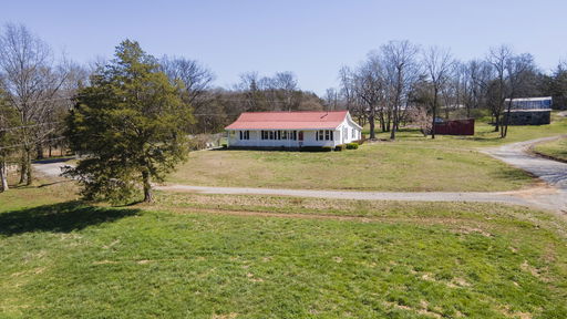 Media Image 3