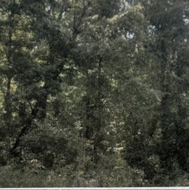 Image Unavailable