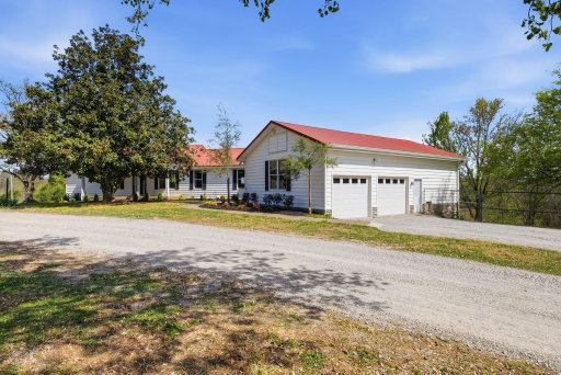 Media Image 3