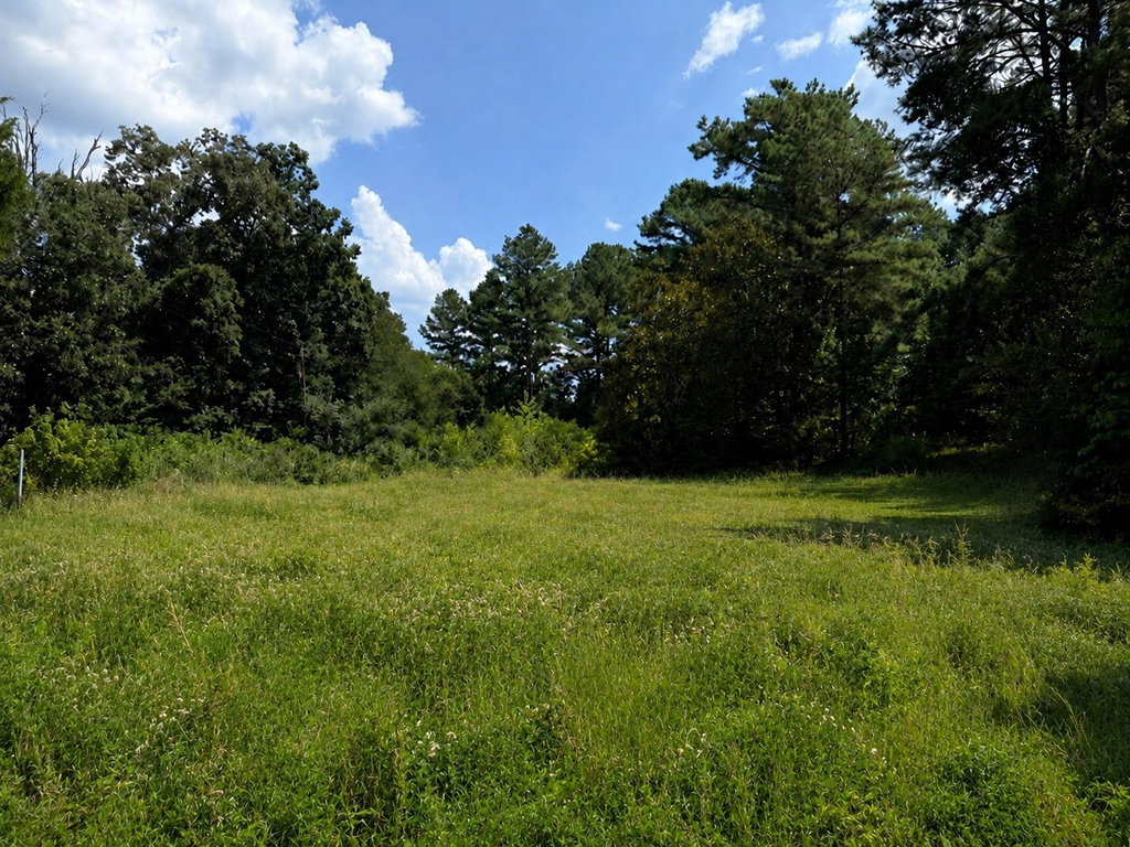 313 Westside Dr, Tullahoma, TN 37388