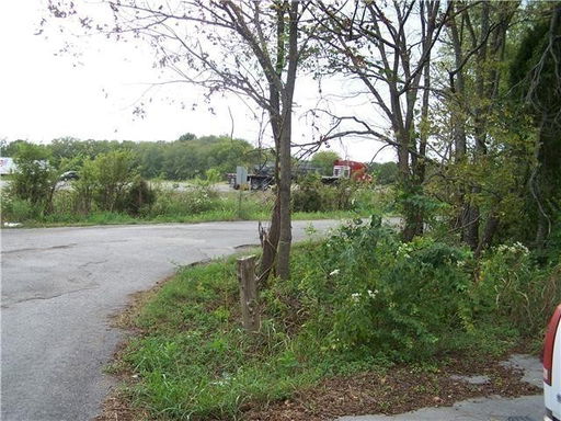 Media Image 3