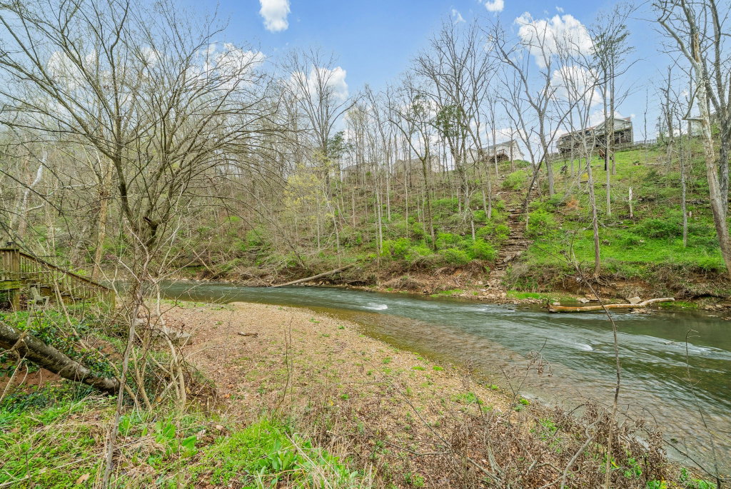Media Image 1
