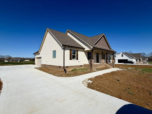 Media Image 3