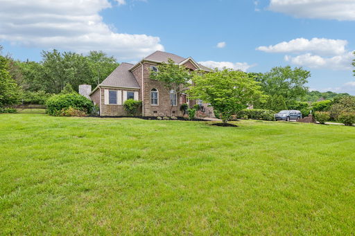 Media Image 3