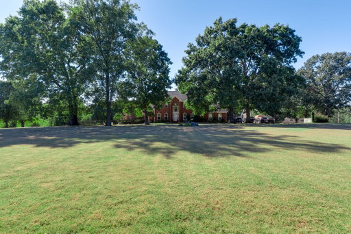 Media Image 3