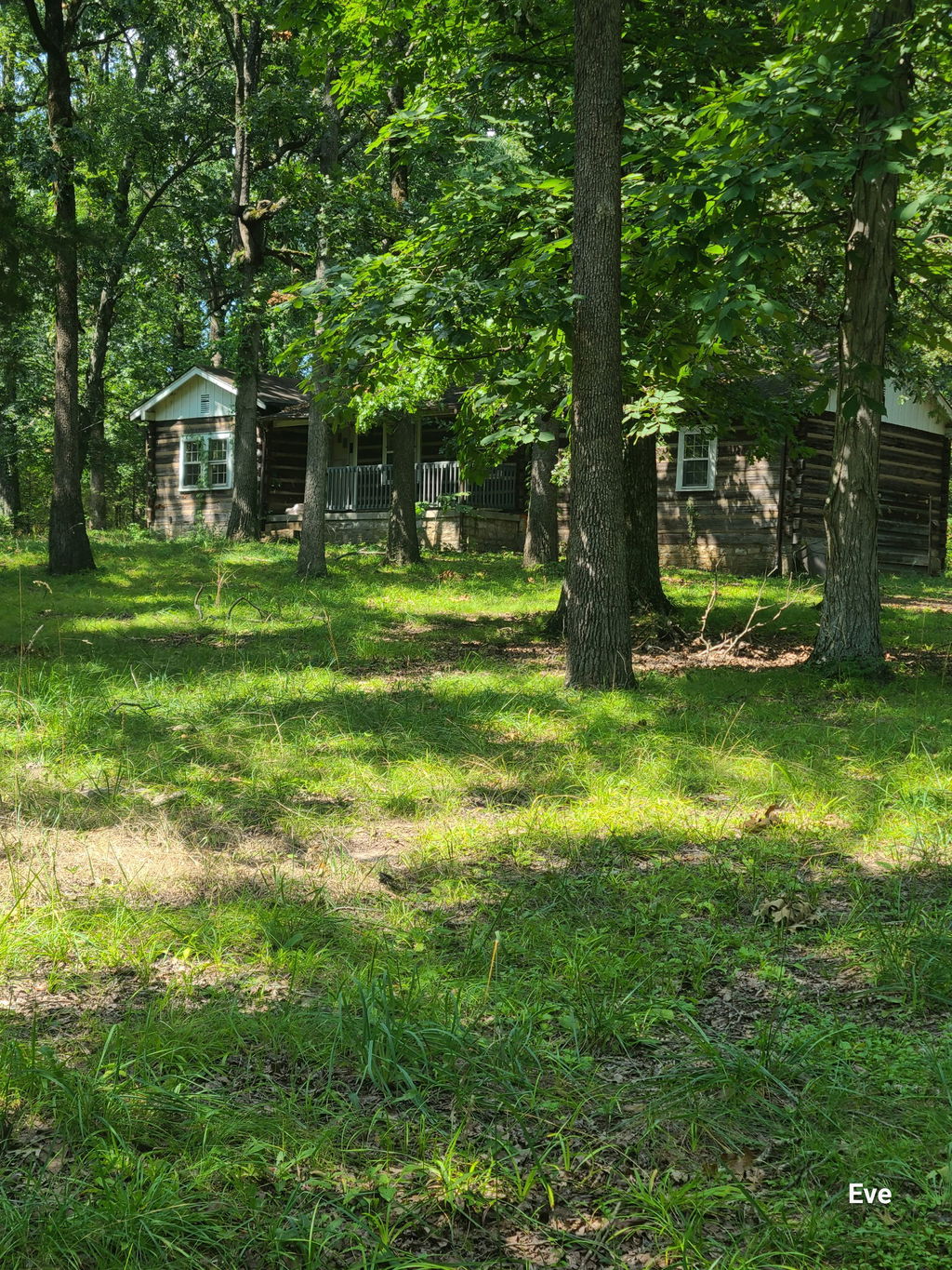 Media Image 1
