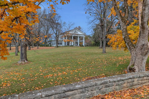 Media Image 2