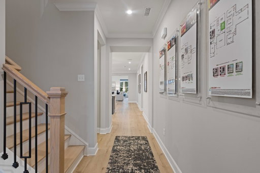 Media Image 2