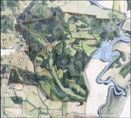 Media Image 2