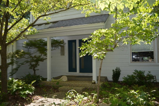 Media Image 3