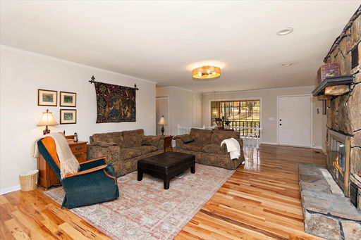 Media Image 3