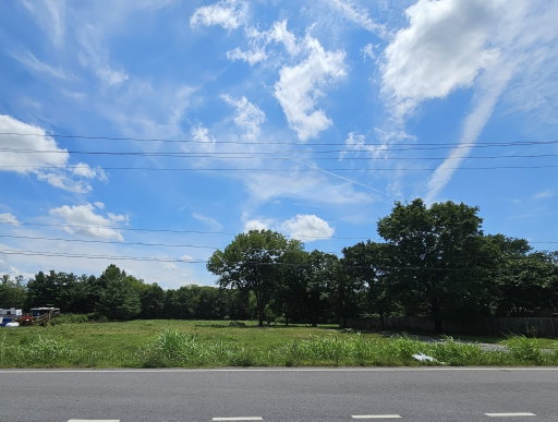 Media Image 2