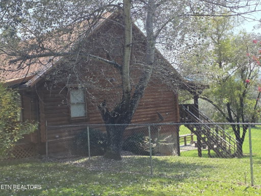 Media Image 3