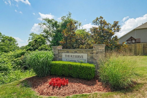 Media Image 3