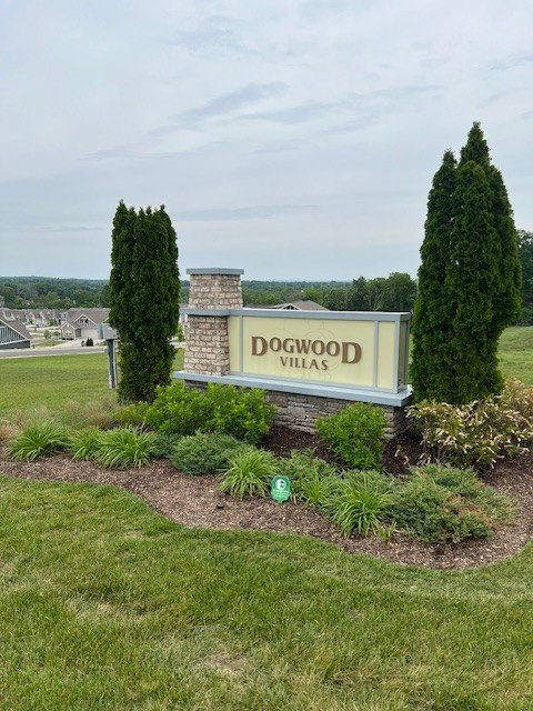 Media Image 2