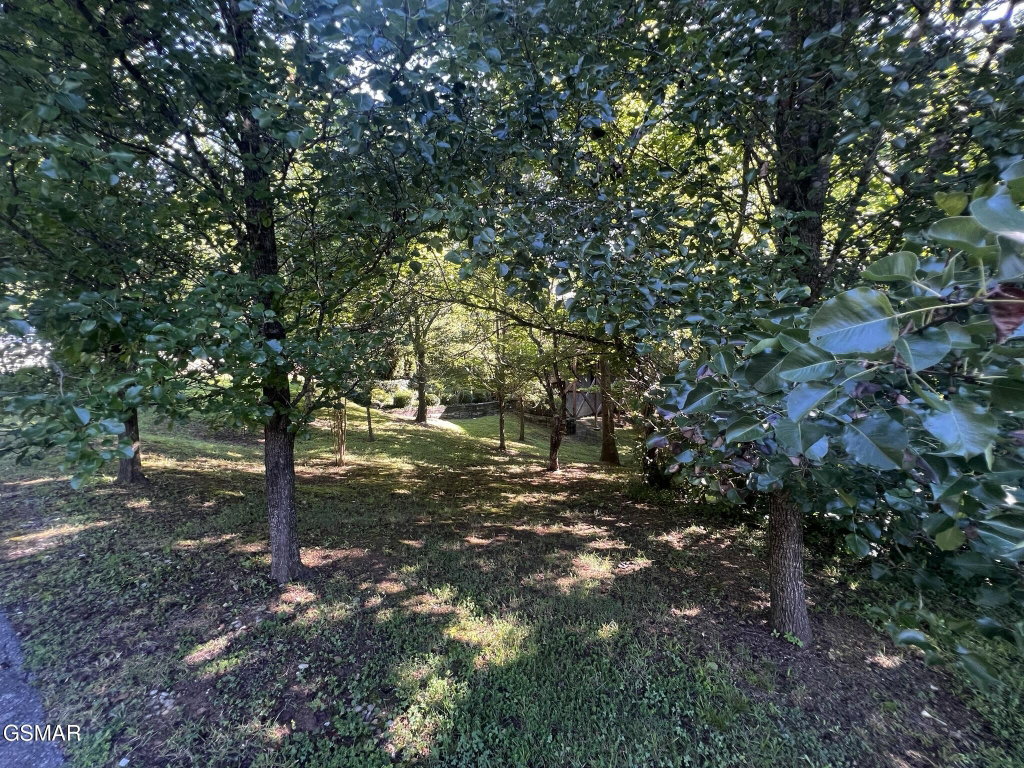 Image Unavailable