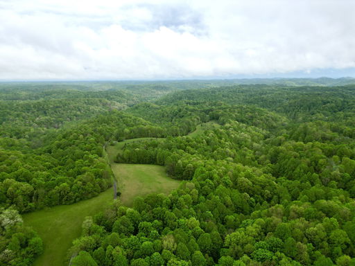 Media Image 3