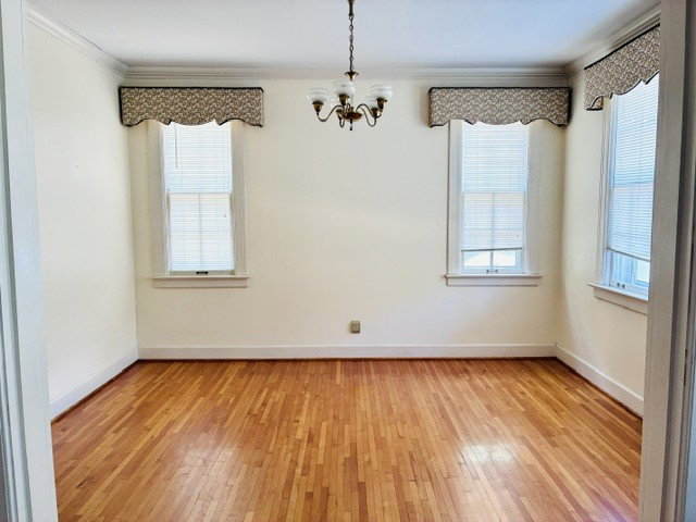 Image Unavailable