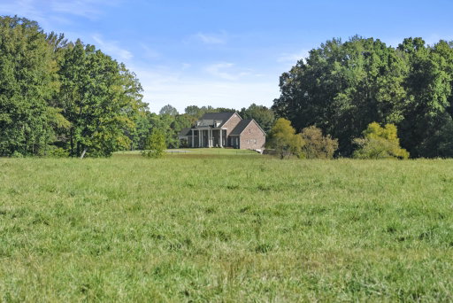 Media Image 2