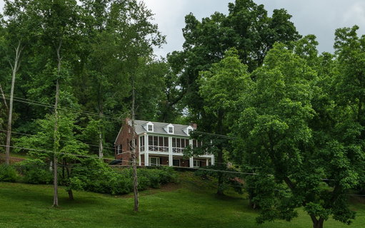 Media Image 3