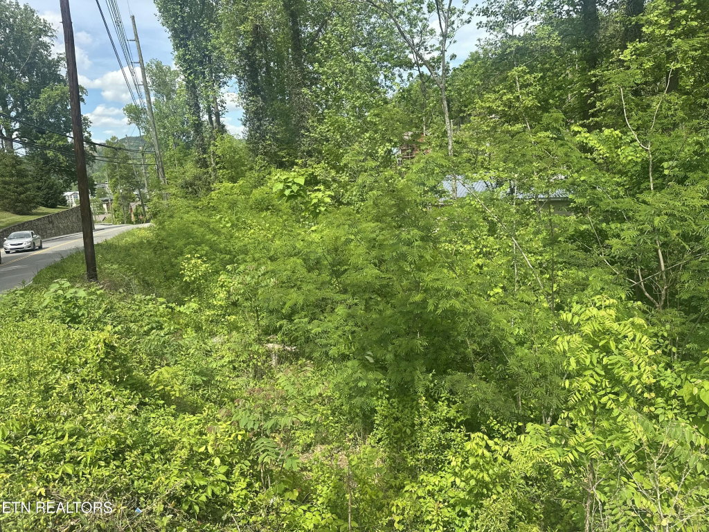 Image Unavailable