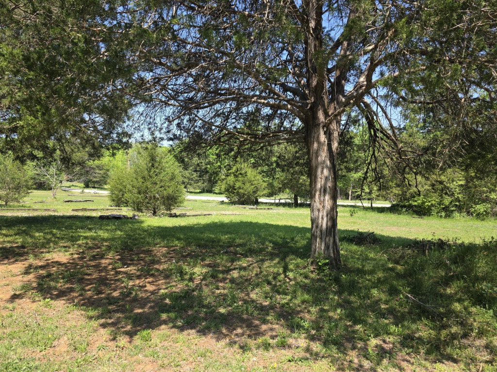 Image Unavailable