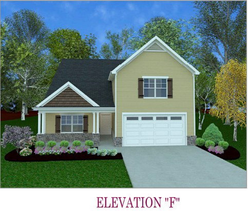 Media Image 3
