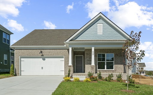 Media Image 2
