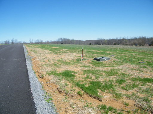 Media Image 3