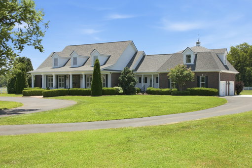 Media Image 2