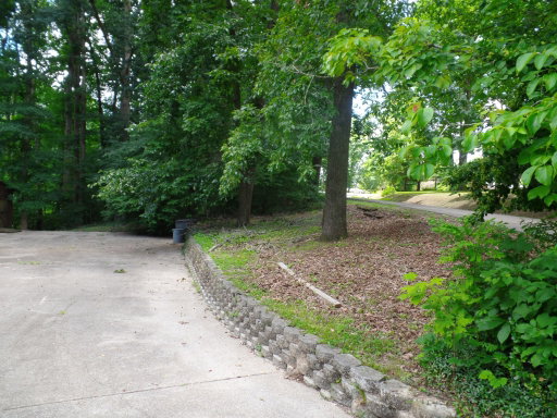 Media Image 2