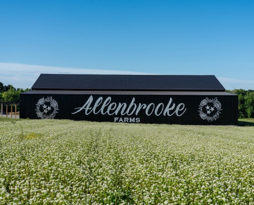 Media Image 3